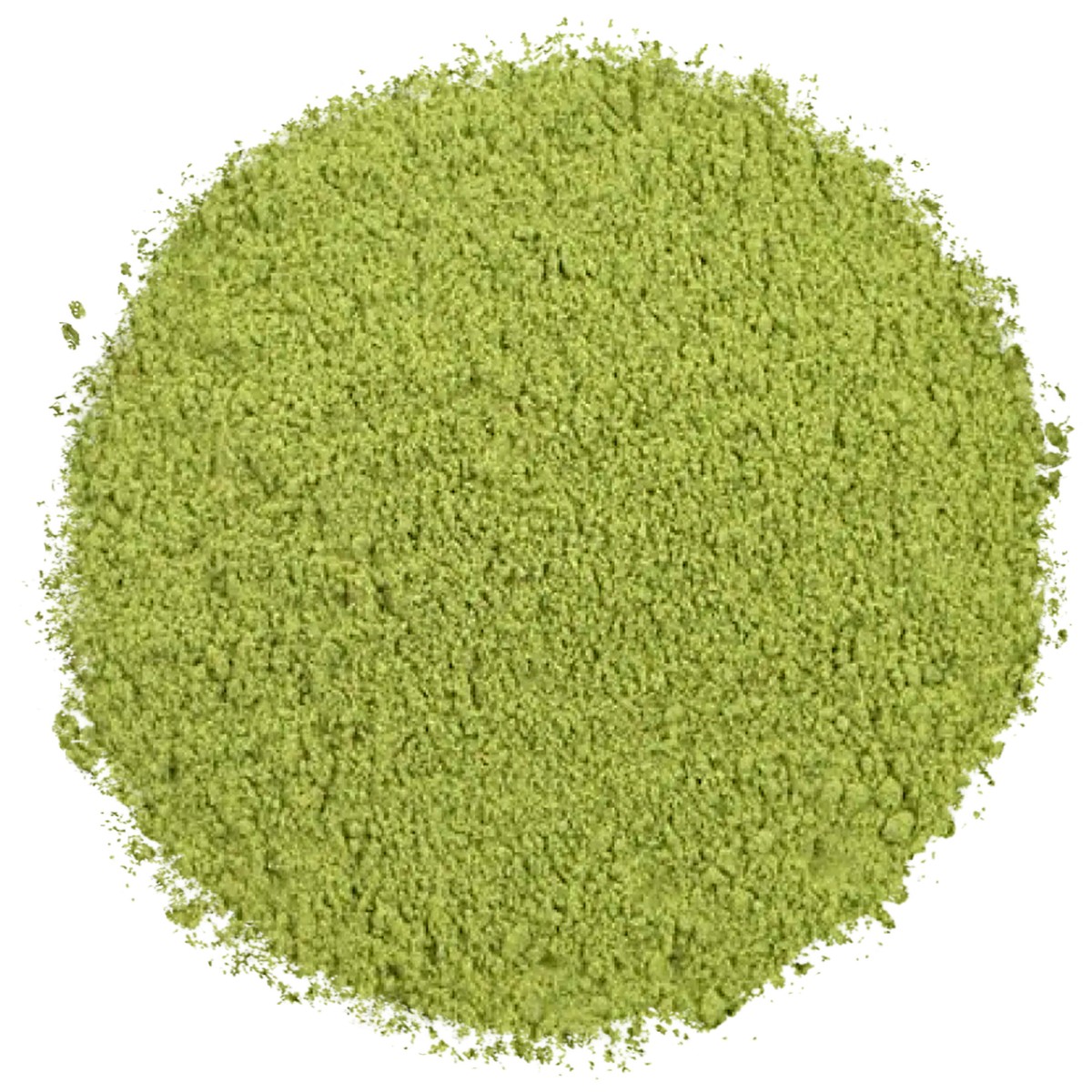 Młody jęczmień w proszku 